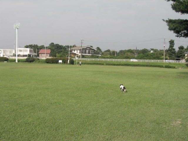 d0070473_940492.jpg