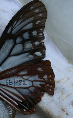 f0181173_22592120.jpg