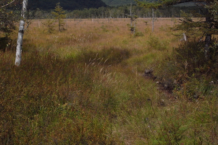 f0188274_1542118.jpg