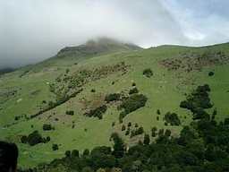 c0105680_6332967.jpg
