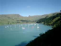 c0105680_652246.jpg