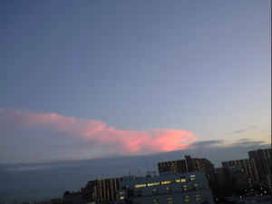 b0034381_6503285.jpg