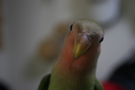 c0108981_0191350.jpg