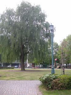 d0129083_0252130.jpg