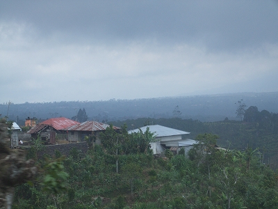 b0101284_20211590.jpg