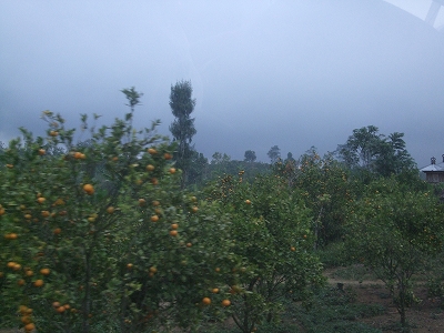 b0101284_20214926.jpg
