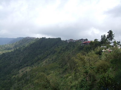 b0101284_20235398.jpg