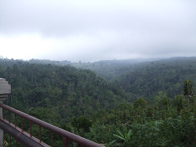 b0101284_20255510.jpg