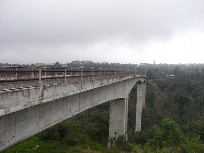 b0101284_2025996.jpg