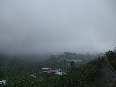 b0101284_20403047.jpg