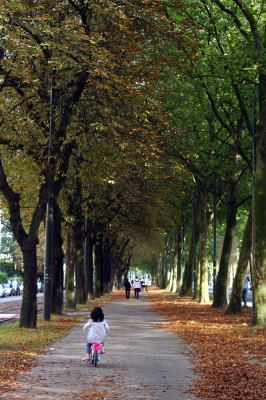 f0060585_1825028.jpg