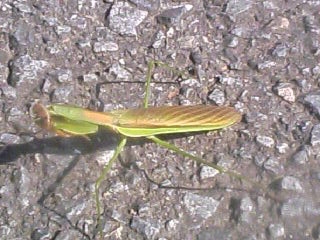 c0123890_21302578.jpg