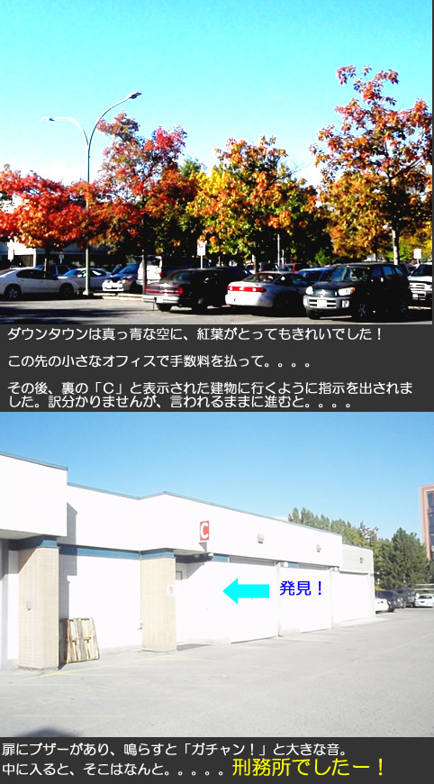 c0164491_054039.jpg
