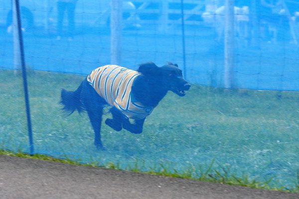 c0044199_12124043.jpg