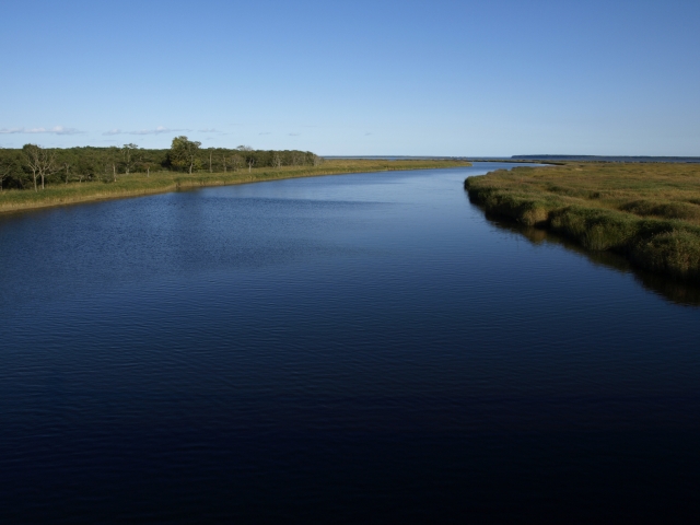 f0020302_20135735.jpg