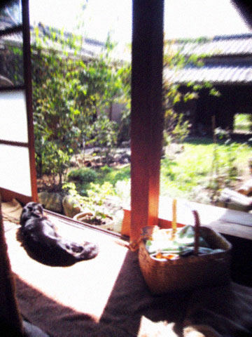 d0077603_8531227.jpg