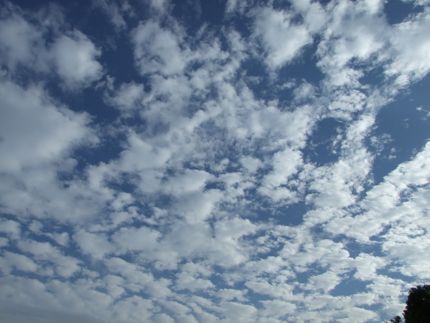 b0061010_15185177.jpg
