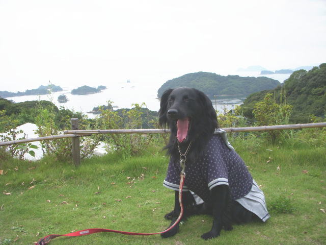 c0017311_18334678.jpg