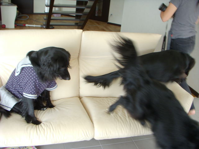 c0017311_1839110.jpg