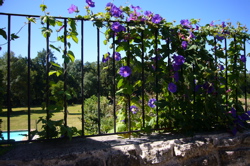 c0167813_6395049.jpg