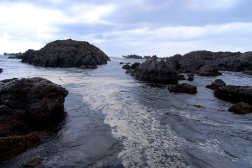 b0044726_22155862.jpg