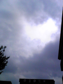 a0099129_2259982.jpg