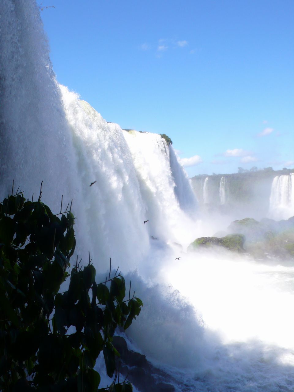 b0113231_23504284.jpg