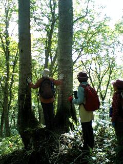f0118332_22565217.jpg