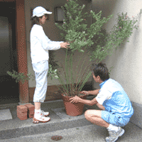 d0033734_14192255.gif