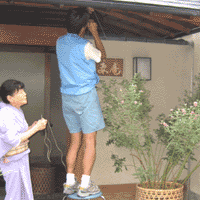 d0033734_1420128.gif