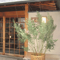 d0033734_1429574.gif