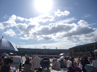 f0131934_17125618.jpg