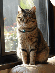c0136736_20571491.gif
