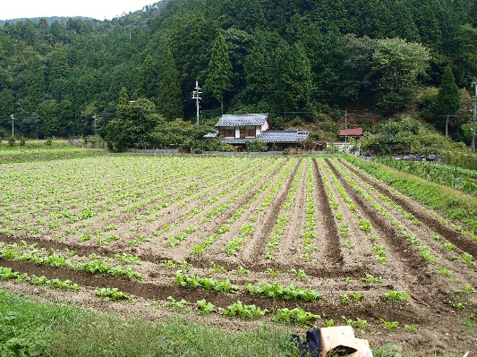 c0072843_19134214.jpg