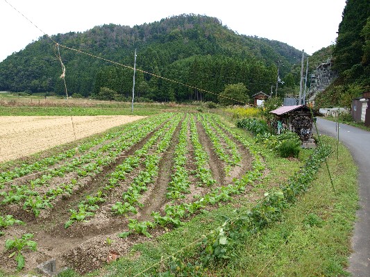 c0072843_19135361.jpg