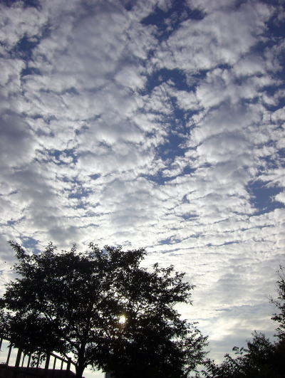 f0094843_0151328.jpg
