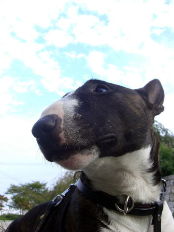 f0094843_0162489.jpg