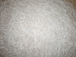 c0047449_1748479.jpg
