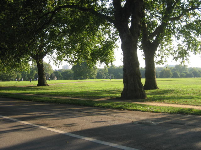 f0076952_2315273.jpg
