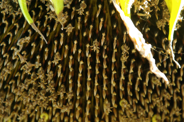 f0176353_23411881.jpg