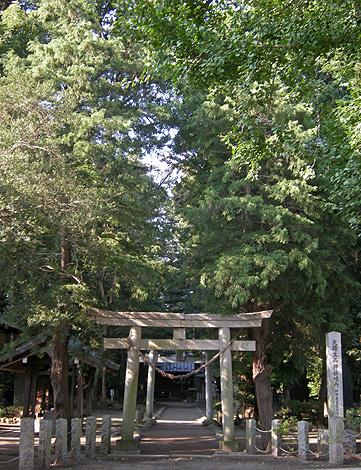 a0001354_22273648.jpg