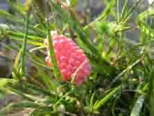 b0002156_2393499.jpg