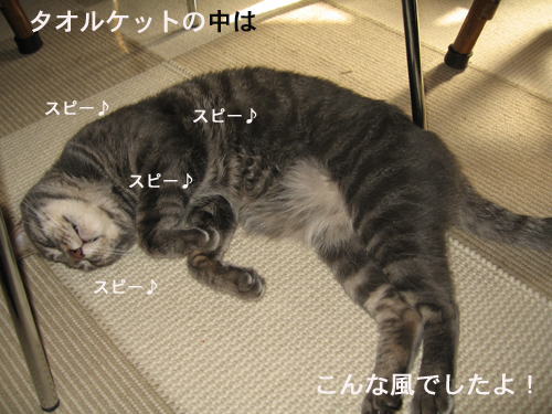 e0057361_1525522.jpg