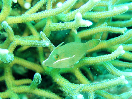 b0062363_201811.jpg