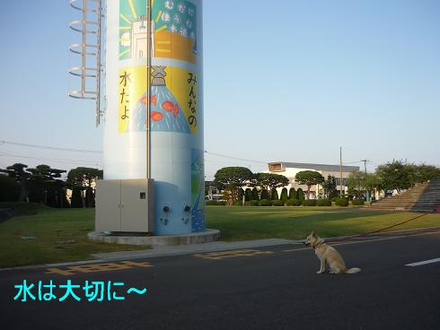 e0139167_21184220.jpg