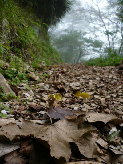 f0050468_21555848.jpg
