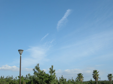 f0186368_21482159.jpg