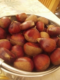 b0133870_0281068.jpg
