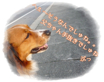 c0174773_11264476.jpg