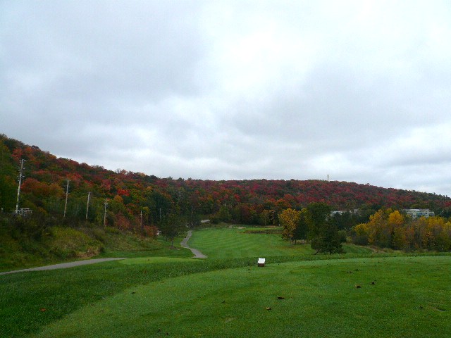 a0100975_921101.jpg